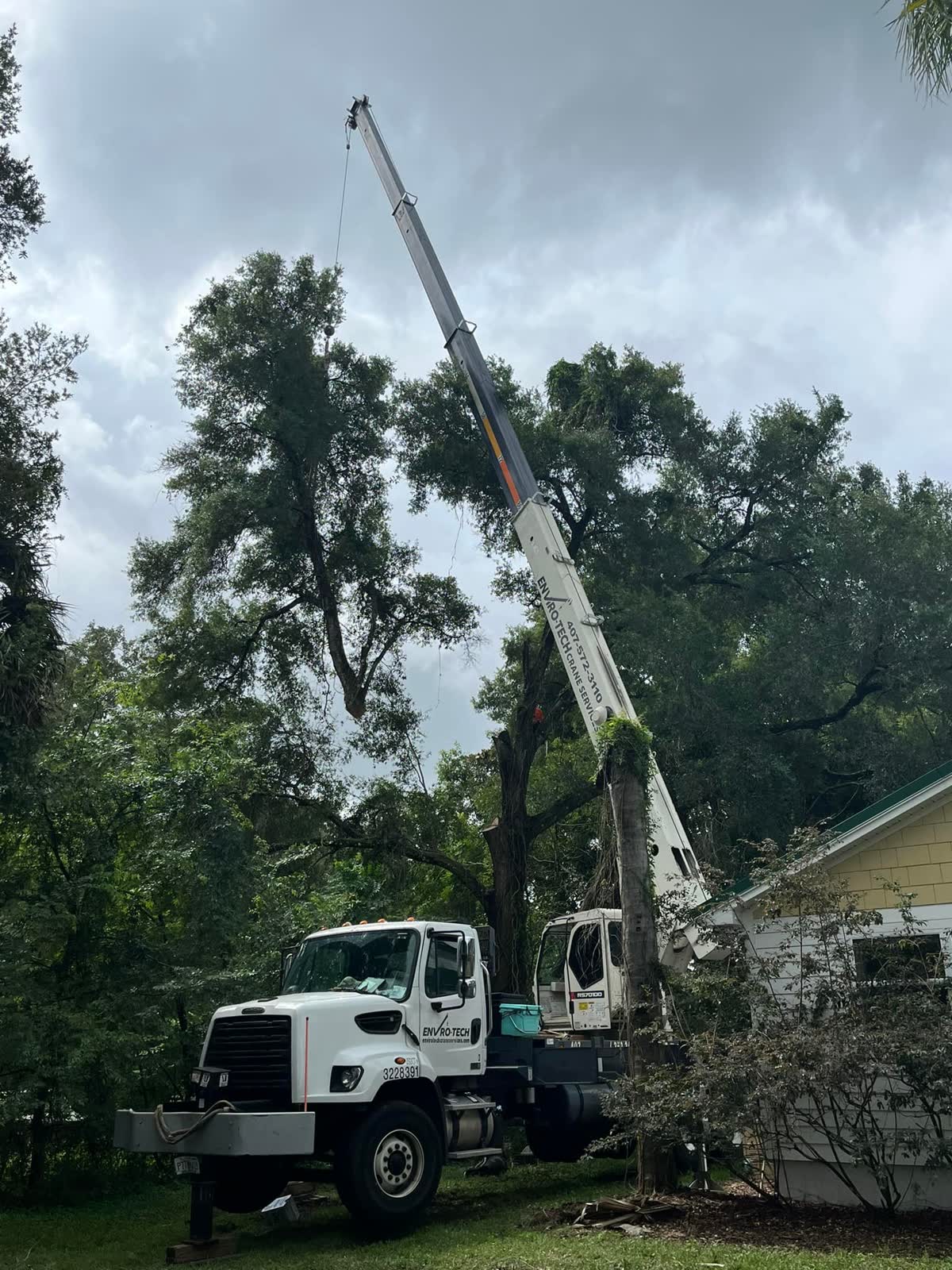 Crane-assisted removal of a large oak tree beside a two-story house, boom extended over the roofline