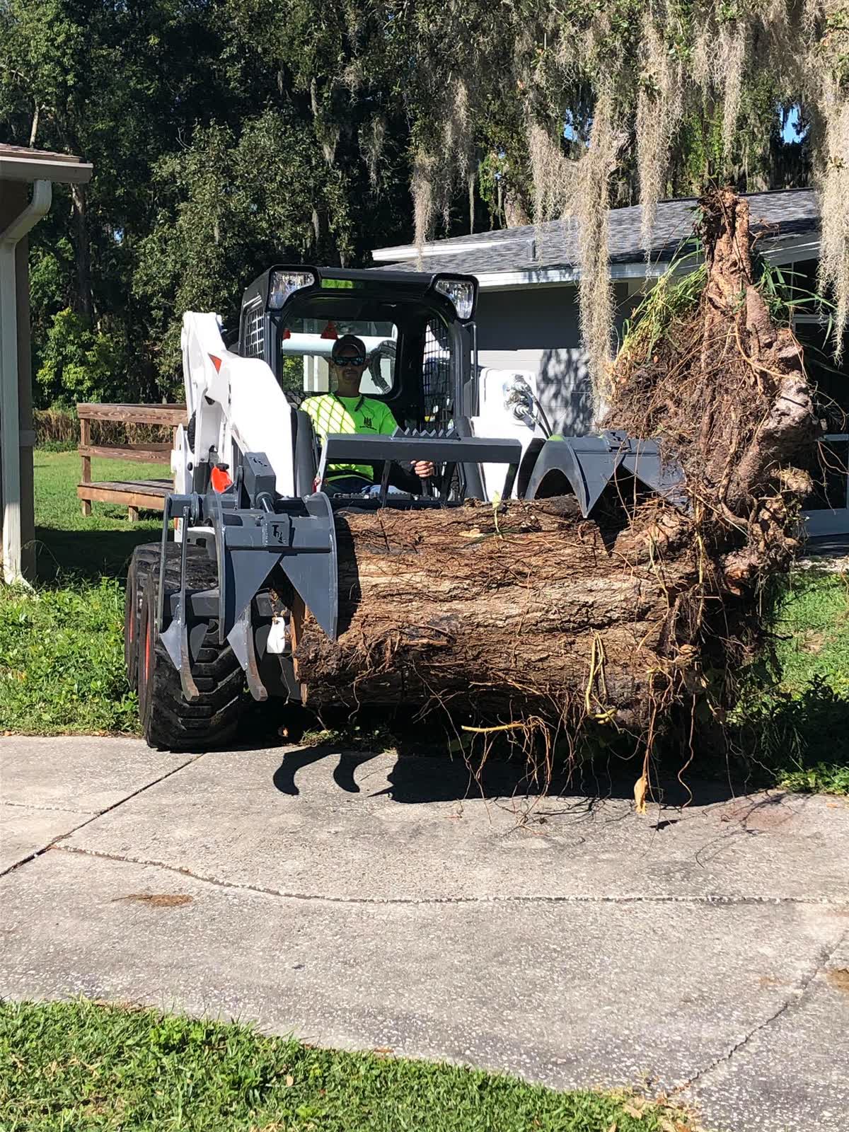 Skid steer with a grapple attachment hauling a large tree trunk and rootball off a residential driveway