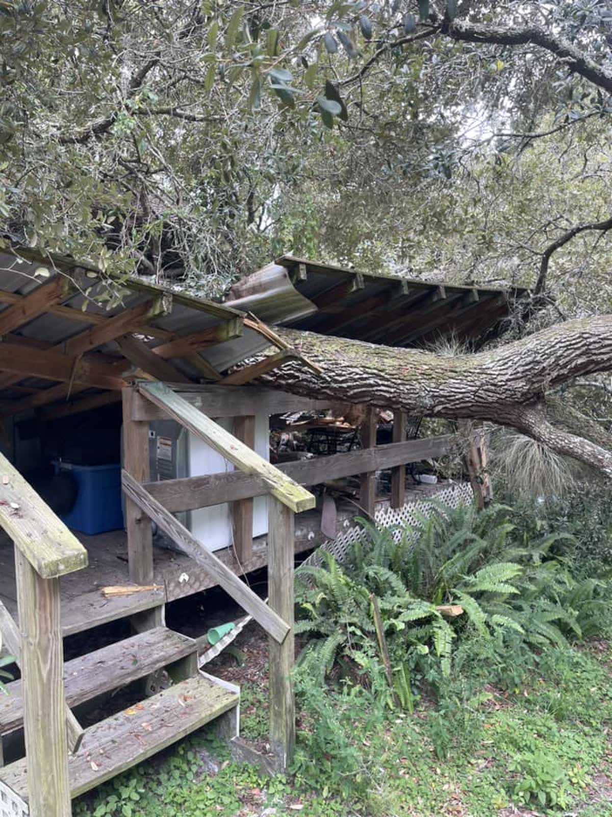 A large oak snapped and torn loose at the roots, its trunk crashed through a porch roof and up against the side of a house after a storm